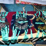 best-cbse-residential-school-in-jhunjhunu-campus-25 (4)